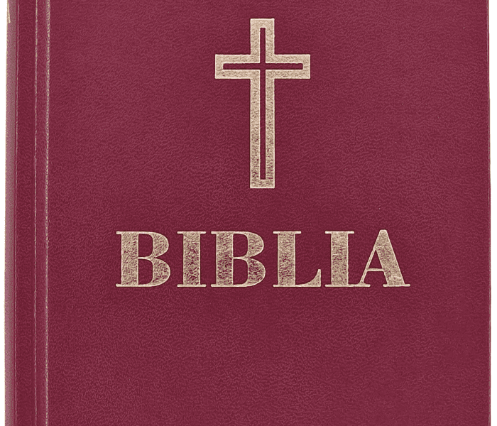 Biblia Ortodoxa Simpla