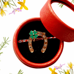 Martisor brosa Potcovita in cutiuta