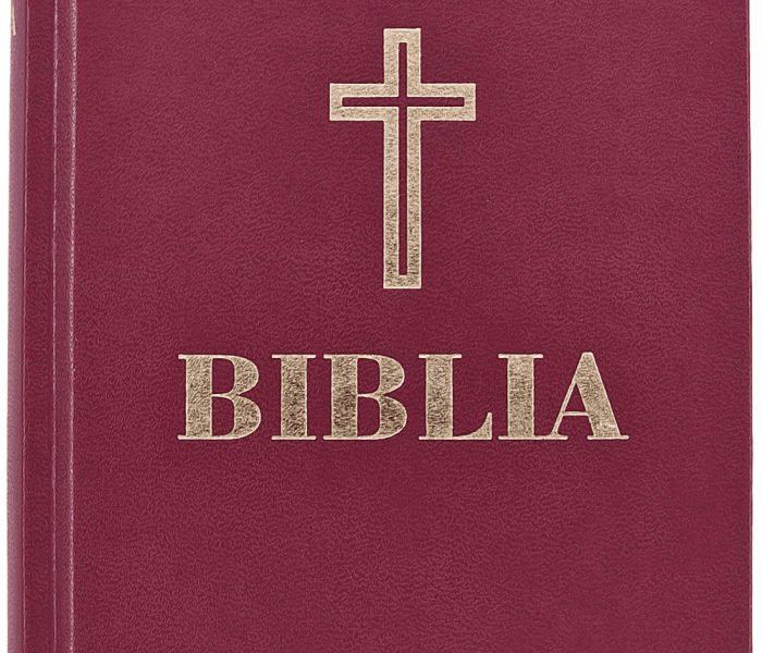 Biblia Ortodoxa Simpla
